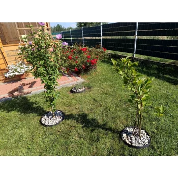 Obrzeże trawnikowe 10m+20 szpilek 60mm